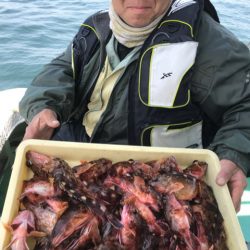 ヤザワ渡船 釣果