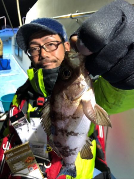 ヤザワ渡船 釣果