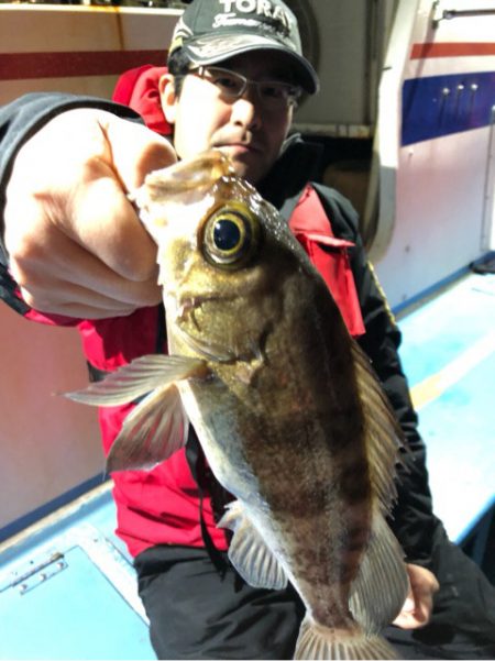 ヤザワ渡船 釣果