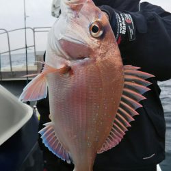 光生丸 釣果