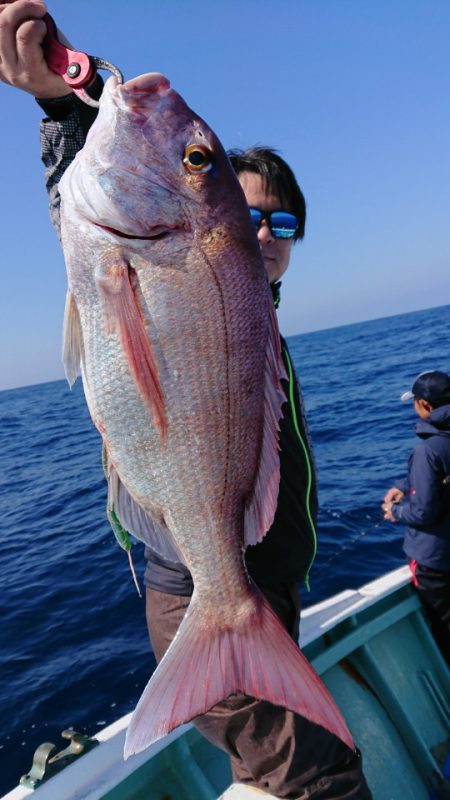 だて丸 釣果