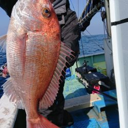 だて丸 釣果