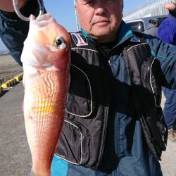 だて丸 釣果