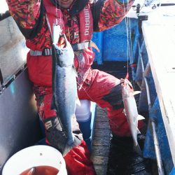 芳陽丸 釣果