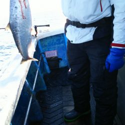 芳陽丸 釣果