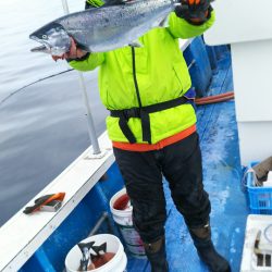 芳陽丸 釣果