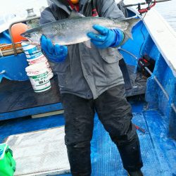 芳陽丸 釣果