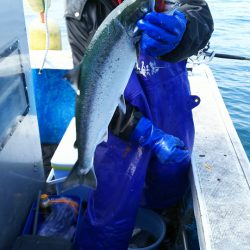 芳陽丸 釣果