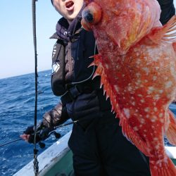 だて丸 釣果