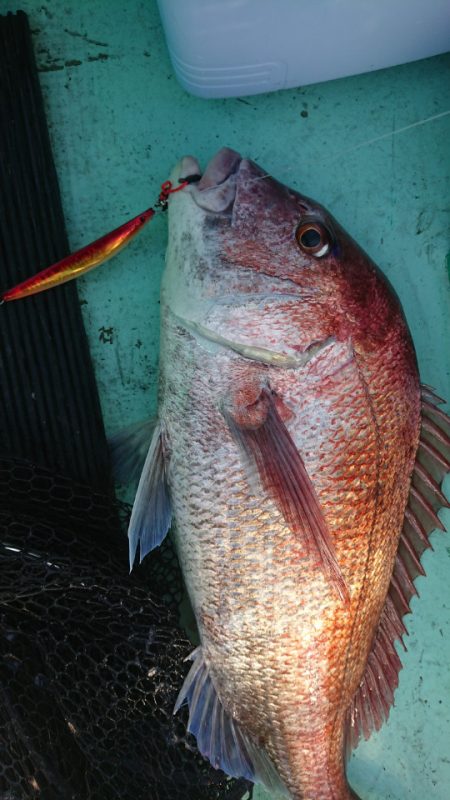 和栄丸 釣果