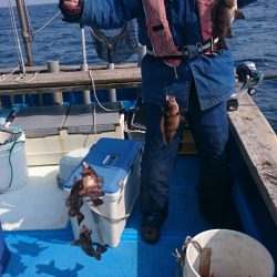 海龍丸（石川） 釣果