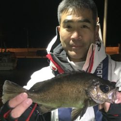 小島丸 釣果