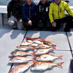 渡船屋たにぐち 釣果