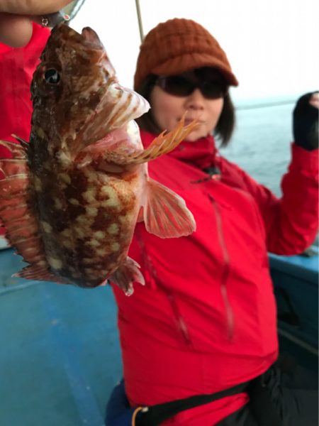 ヤザワ渡船 釣果