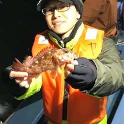 ヤザワ渡船 釣果