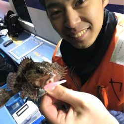 ヤザワ渡船 釣果