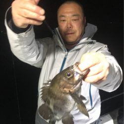 遊漁船メテオ 釣果