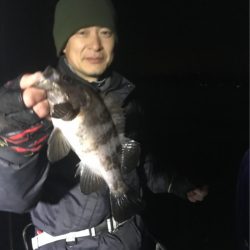 遊漁船メテオ 釣果