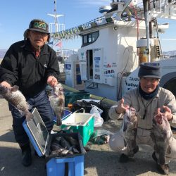 シーランチ 釣果