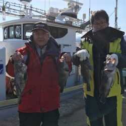 シーランチ 釣果