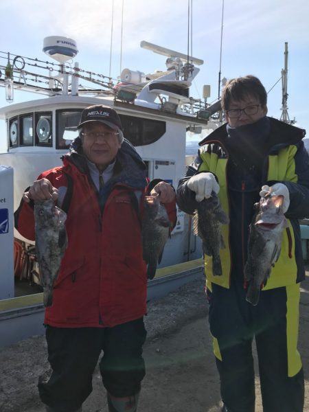 シーランチ 釣果