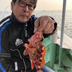 ヤザワ渡船 釣果