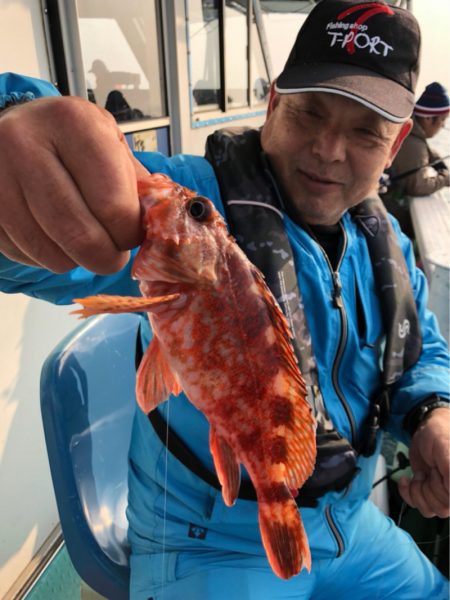 ヤザワ渡船 釣果