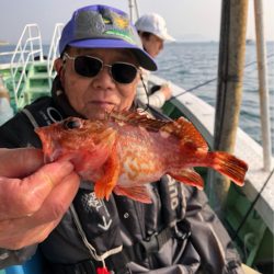 ヤザワ渡船 釣果