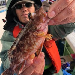 ヤザワ渡船 釣果