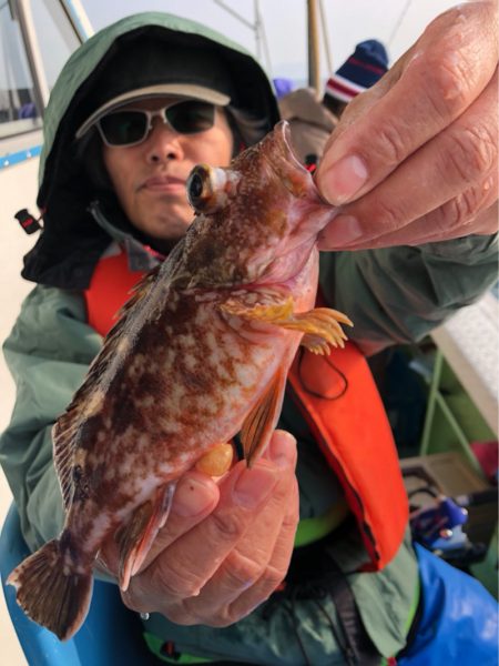 ヤザワ渡船 釣果