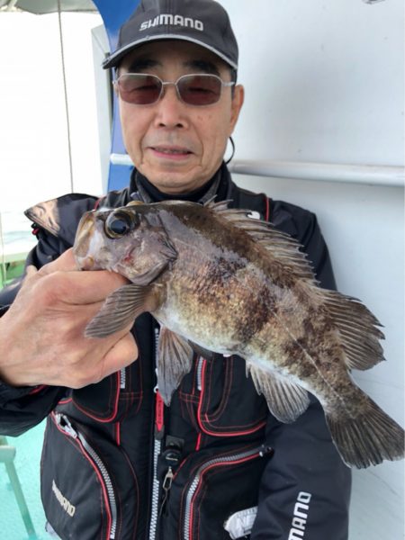 ヤザワ渡船 釣果