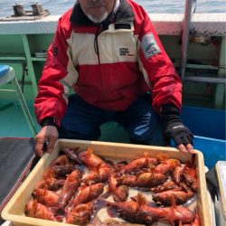 ヤザワ渡船 釣果