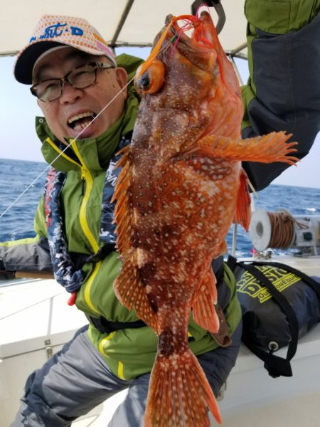 ソルトウォーターガイドフレンズ 釣果