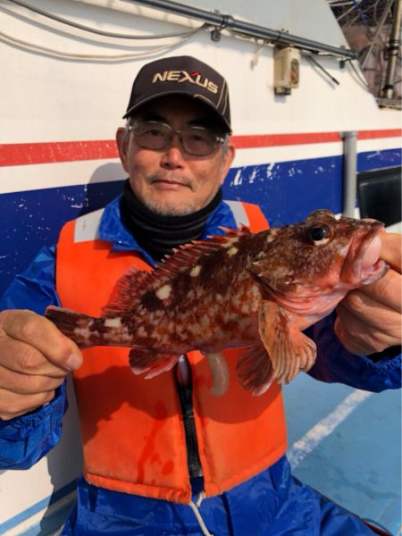 ヤザワ渡船 釣果