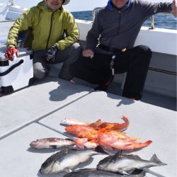 渡船屋たにぐち 釣果