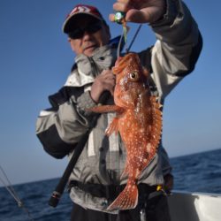 渡船屋たにぐち 釣果