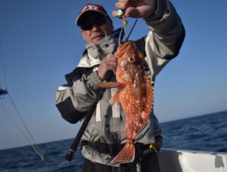 渡船屋たにぐち 釣果