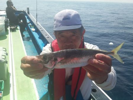 丸万釣船 釣果