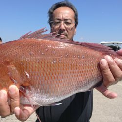 第三共栄丸 釣果