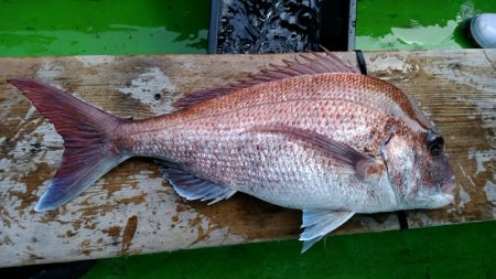 小島丸 釣果