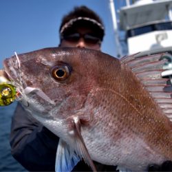 渡船屋たにぐち 釣果