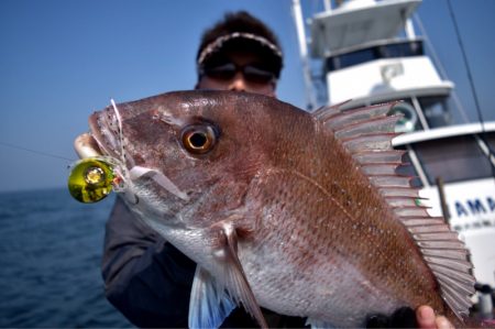 渡船屋たにぐち 釣果