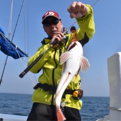 渡船屋たにぐち 釣果