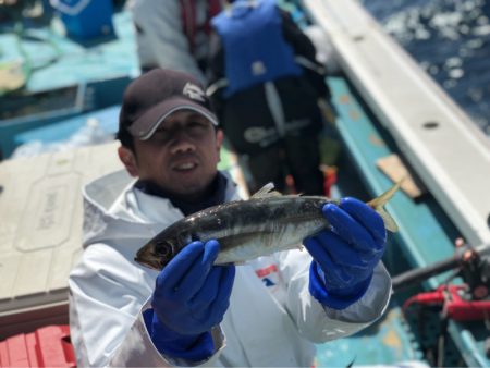 丸万釣船 釣果