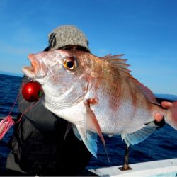 渡船屋たにぐち 釣果