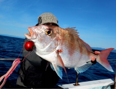 渡船屋たにぐち 釣果