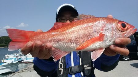 ぽん助丸 釣果