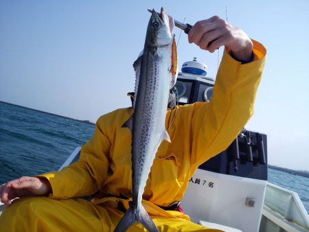 ひな丸 釣果