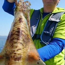 シースナイパー海龍 釣果