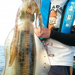 シースナイパー海龍 釣果